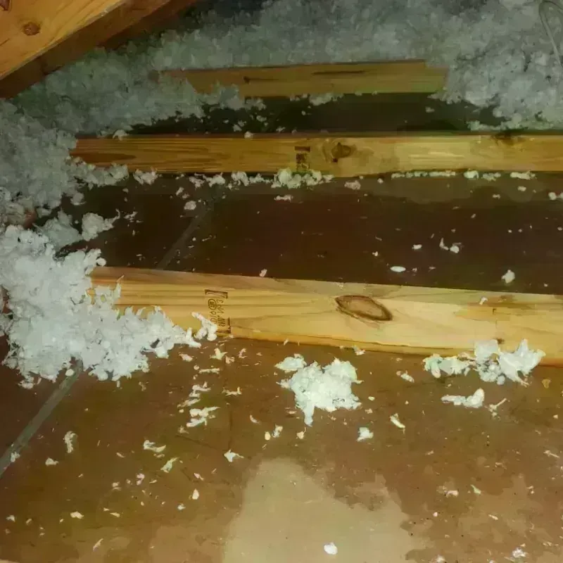 Attic Water Damage in Halawa, HI